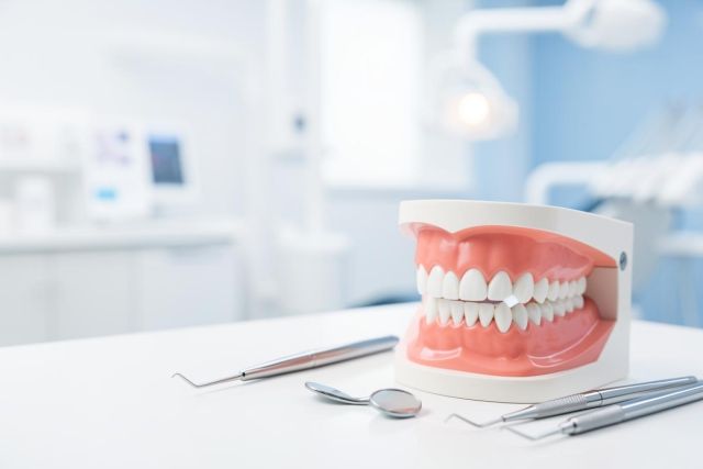 Professional dental model of human teeth and pink gums on a white surface in a bright dental clinic. Silver dental instruments like a mouth mirror and probe lie in the foreground. The background features a blurred, clean dental office with light blue and white tones, ideal for dentistry and oral health themes.